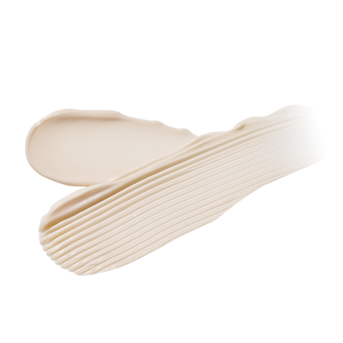 CeraBarrier Moisture Active Cream in Serum