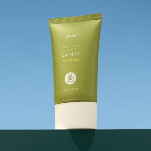 Houttuynia Cordata Calming Moisture Sun Cream SPF50+ PA++++