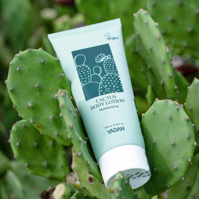 Cactus Body Lotion