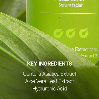 Super Soothing Cica & Aloe Facial Serum