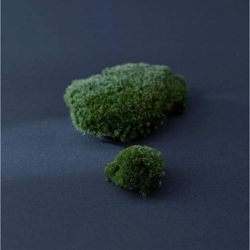 Iceland Moss Drop